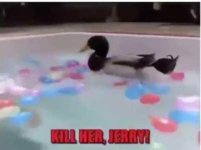 Laughed way to hard at this