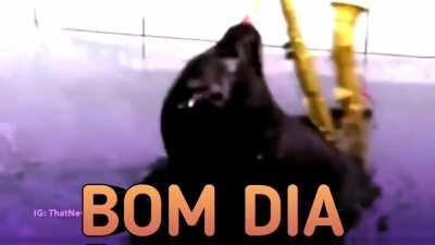 Bom dia