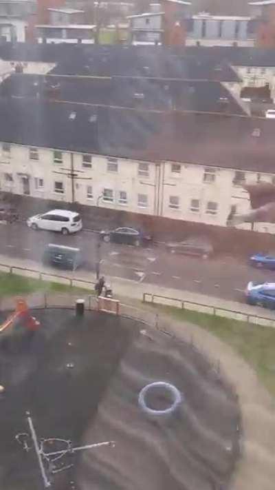 UK Today: All bird migrations are cancelled.