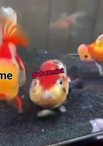 when that money hits the bank account