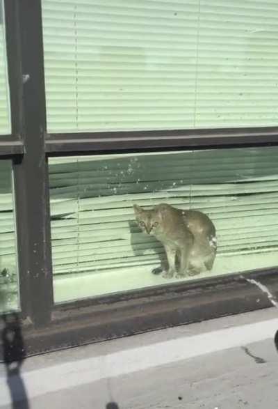 No more sitting near the window again