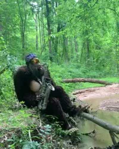 Hey GME, I will never give you up!!! - ALL ZEN -