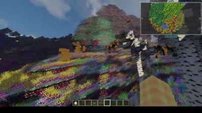 My shaders bugged out and now my character is taking acid