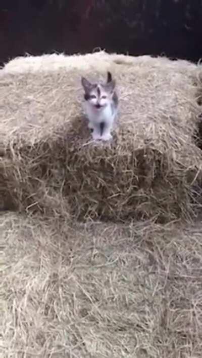 Moooom watch me do this thing!