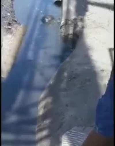 ESTILOZAP - Video #8675