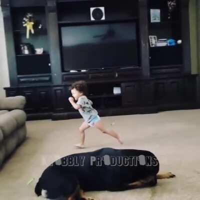 DaD sHoOts His oWn ChiLdReN AftEr SuFferIng FroM PTSD.