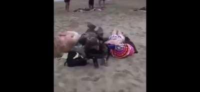 Man Rushes Beach Like It’s D-Day