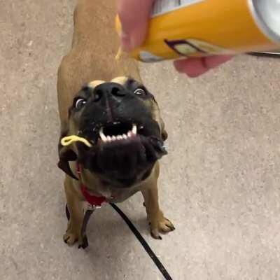 Please enjoy this video of my boy from a year ago experiencing his first canned cheese