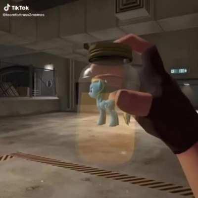 Sniper turns scout into a unicorn