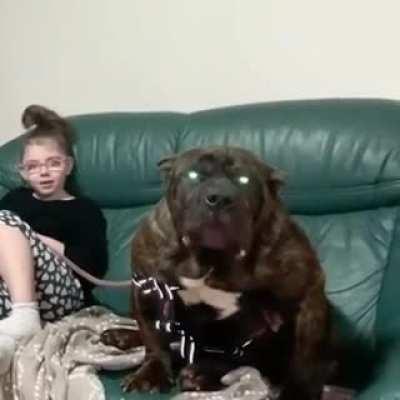 Little girl and her dog