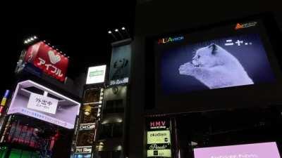 This advertisement in Japan using two screens