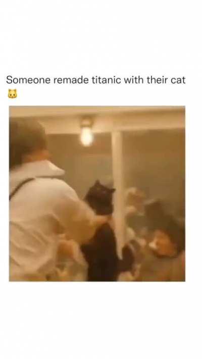 Titanic remake with a cat!
