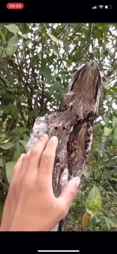 To properly defend yourself