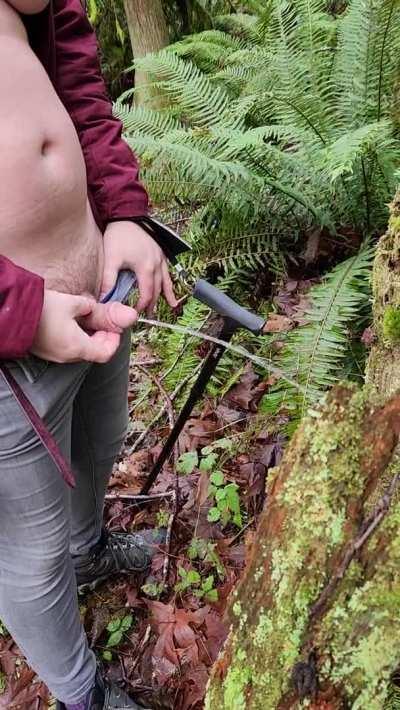 Taking a piss in the woods!