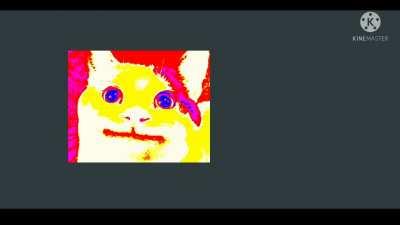 Kapi eats a lemon and dies