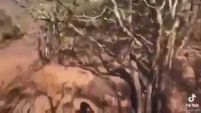 Odd things happen when in nature