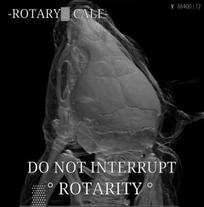 Preserved..。 consult catalog