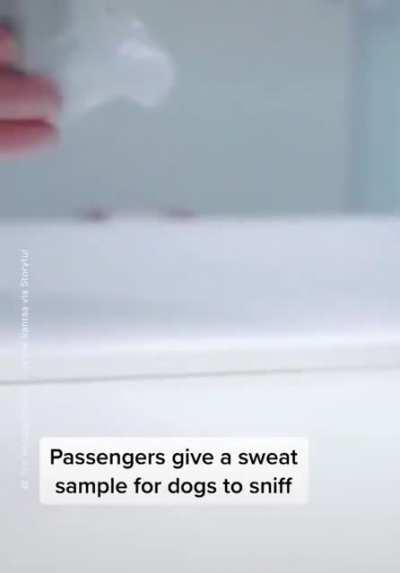 Torille, mutta muistetaan turvavälit, maskit ja käsidesi