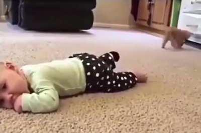 Unfeeling sock thief