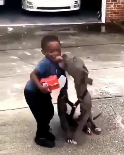 Calm down, he just wants to kiss you!