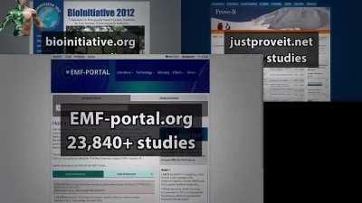 Seek the Lord Jesus while you still can