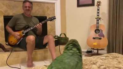 Thought you guys might enjoy this