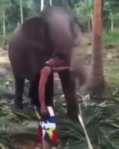 Look but don't touch