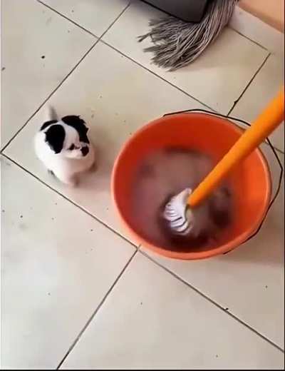 ZKN Mummy Ki Madad Ke Liye Gaya Tha ...