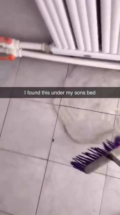 Spermamancy has gone crazy