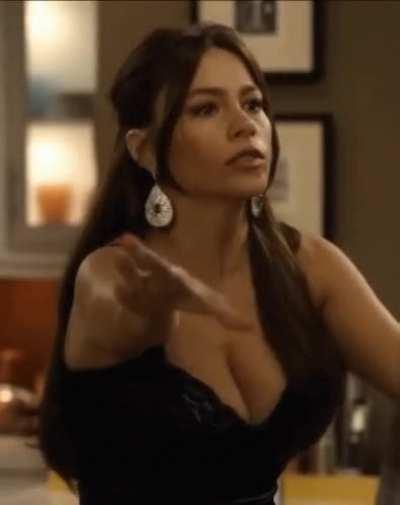 Sofia Vergara, the latina mother we all want