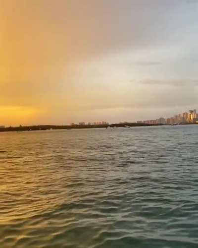 I’ll never top this video. Amazing dolphin encounter at Haulover