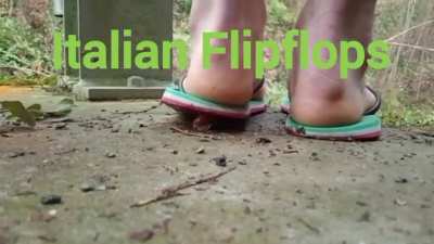 Half Final 2: Italian Flipflops v/s Pink Flipflops. Intro