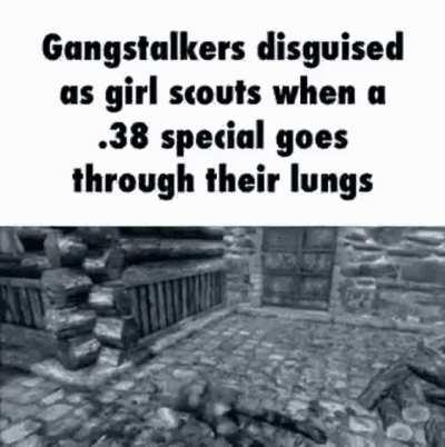 grill scouts