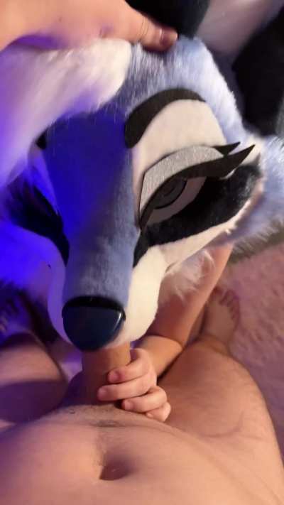 Throw this fox a bone and she might come back pregnant 🥵 | OF: SpiceyFoxx