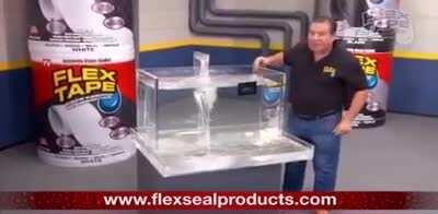 Portugal sem limites