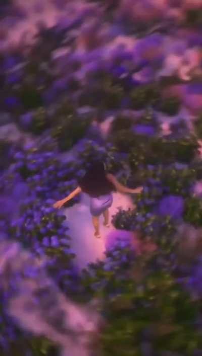 Did you ever get the Galaxy Buds2?