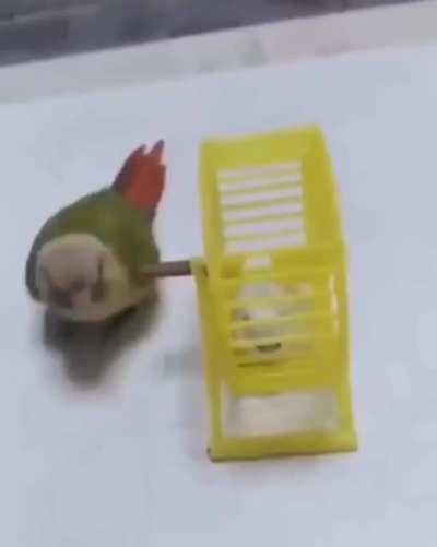 Just another day at the gym