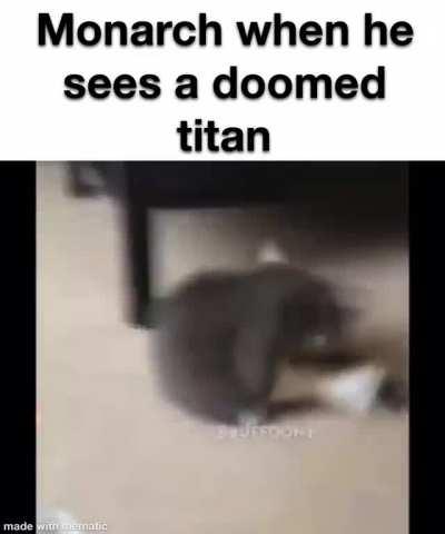 If you want more memes check my profile