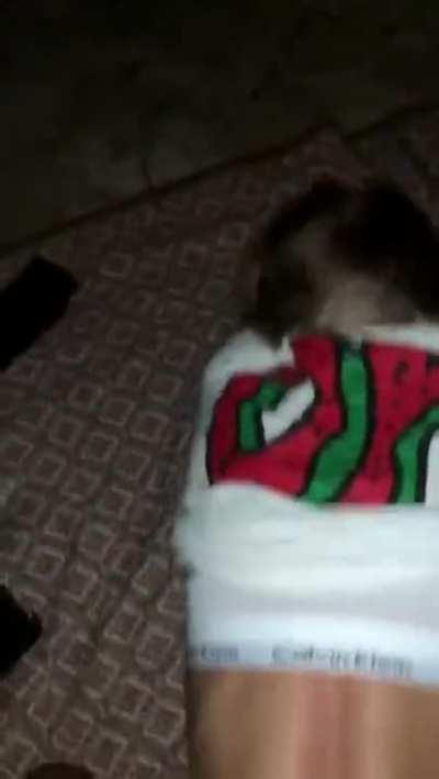 My sister is my booty call