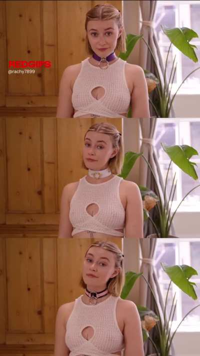 Help me pick my collar for today