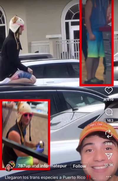 PR la isla del chismeo busca pautas.