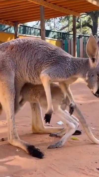 Just one of those days