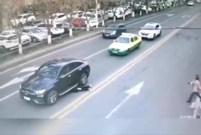 WCGW retrieving a ball under a car...a moving car