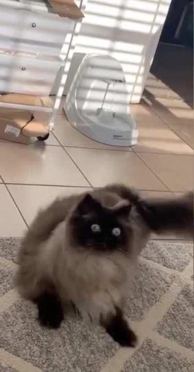 Hope u will like that😄