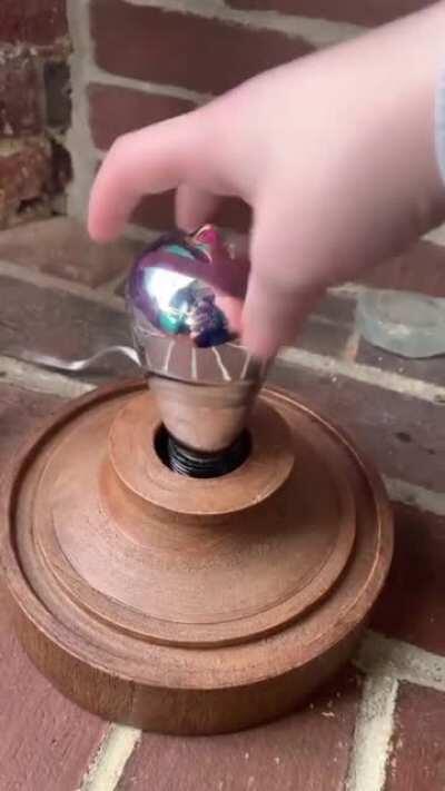 An almora bulb in action