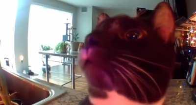 Se©️urity camerna