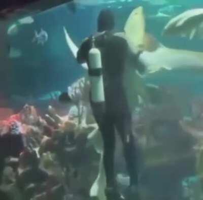 Carola - Video #1782