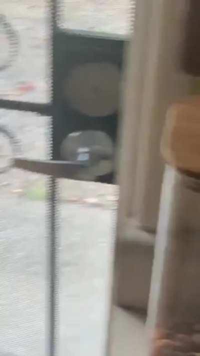 I No Longer Have a Grill