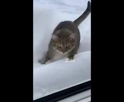 Walking into 2020 like