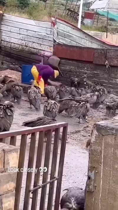 The neighbors have been complaining of a smell